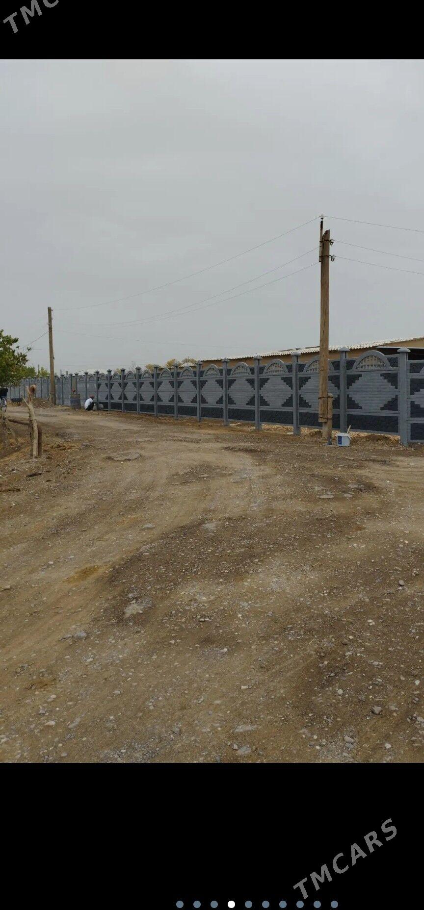 beton zabor - Sakarçäge - img 4