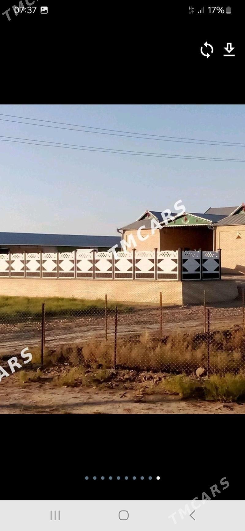 beton zabor - Sakarçäge - img 6