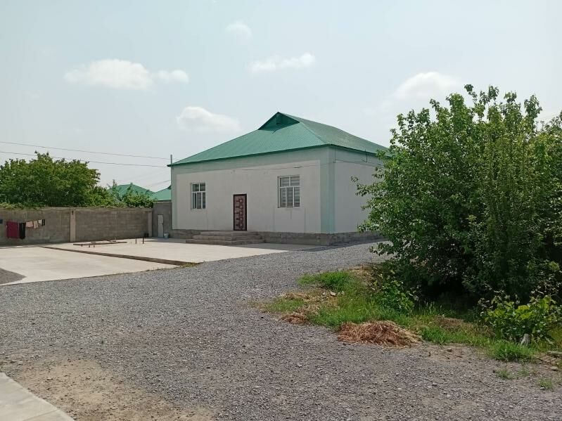 Kone gami satlik jay - Ak bugdaý etraby - img 4