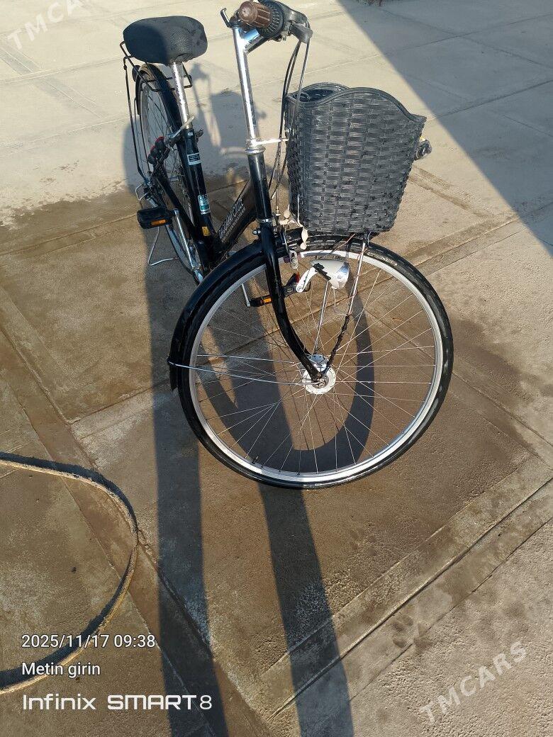 27 welik - Sakarçäge - img 2