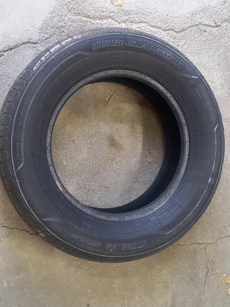 Pakryşka 200 TMT - Boldumsaz - img 2