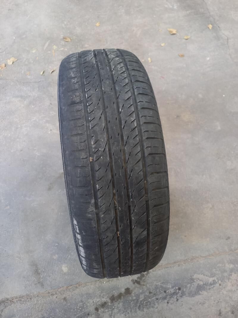 Pakryşka 200 TMT - Boldumsaz - img 4