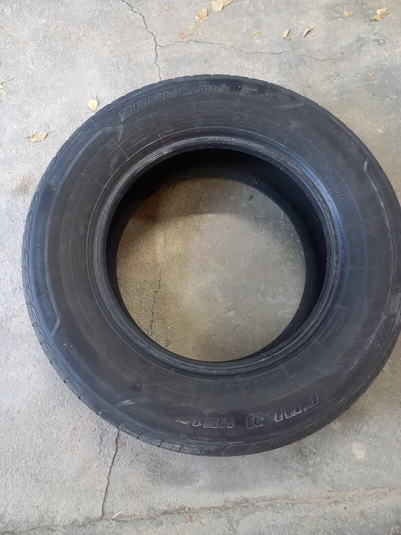 Pakryşka 200 TMT - Boldumsaz - img 3