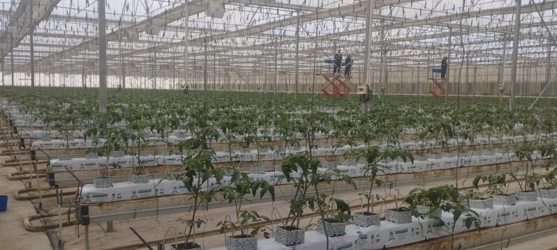 KIP awtomatika mehanika PLC - Ашхабад - img 5