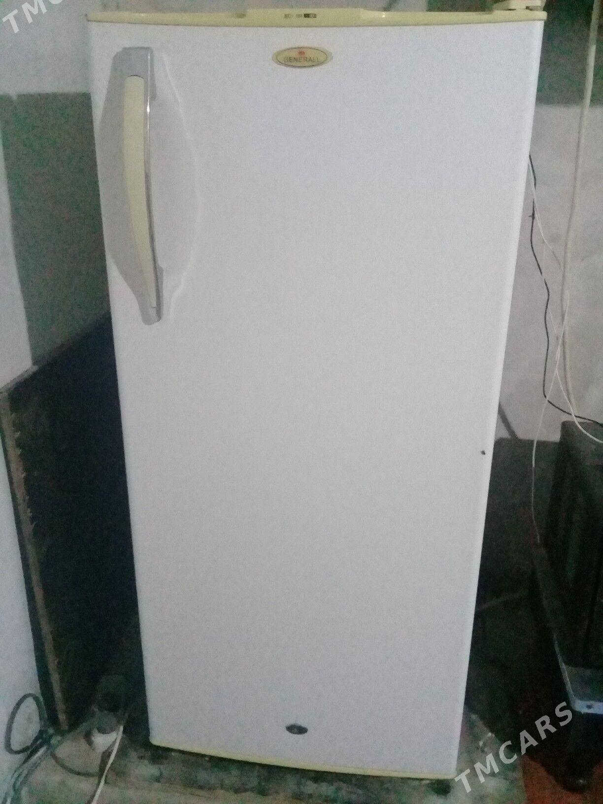 Haladilnik - Gurbansoltan Eje - img 3