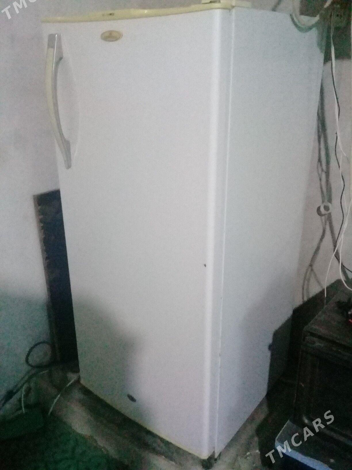 Haladilnik - Gurbansoltan Eje - img 4