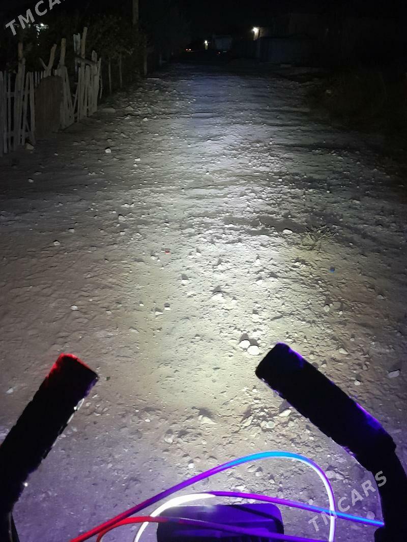 Welik-Weloseped 27-lik - Mary - img 5