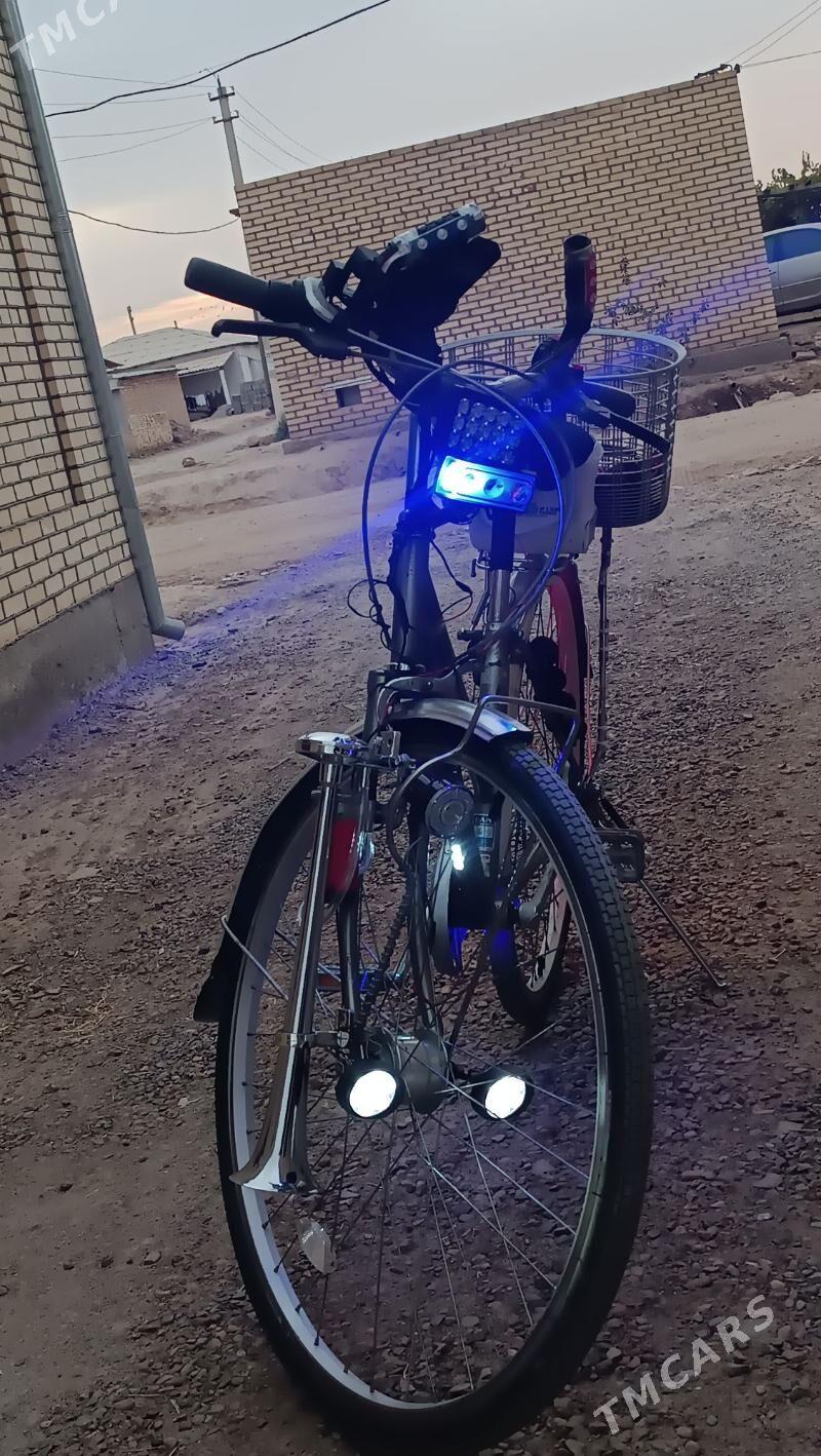 Welik-Weloseped 27-lik - Mary - img 3