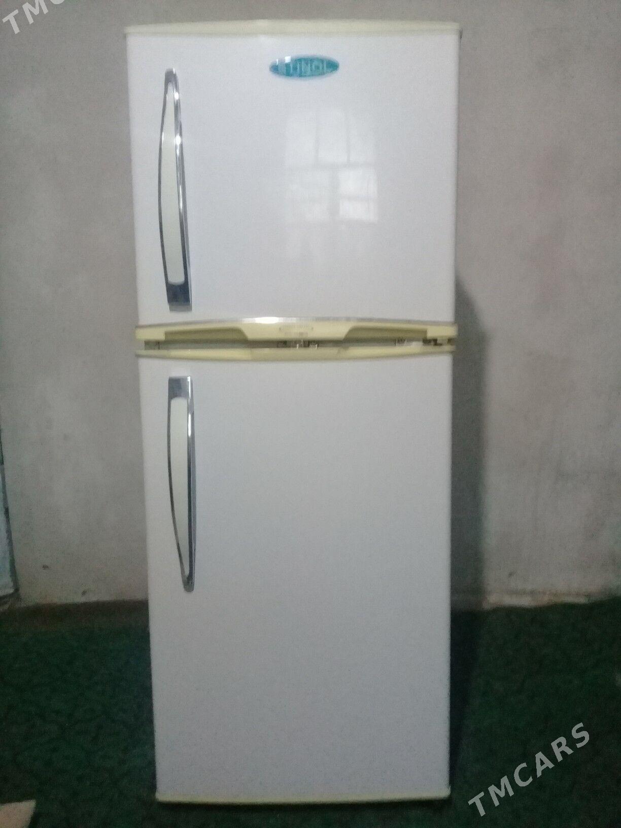 Haladilnik - Gurbansoltan Eje - img 5