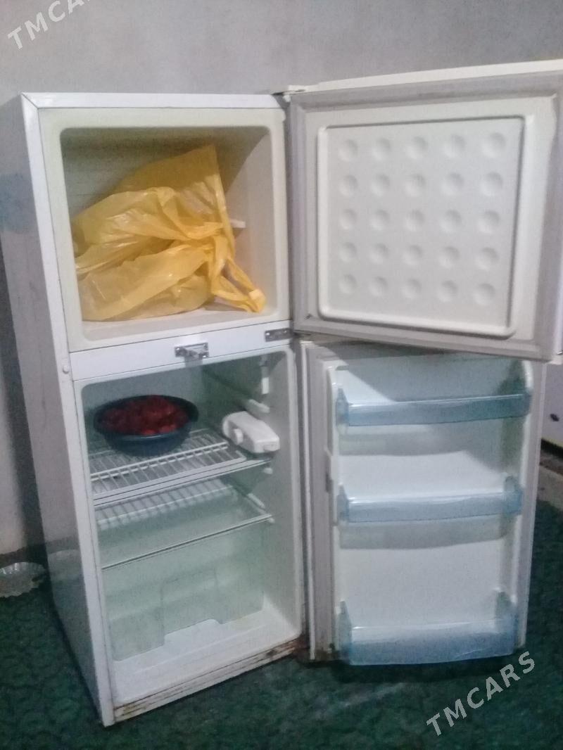 Haladilnik - Gurbansoltan Eje - img 6