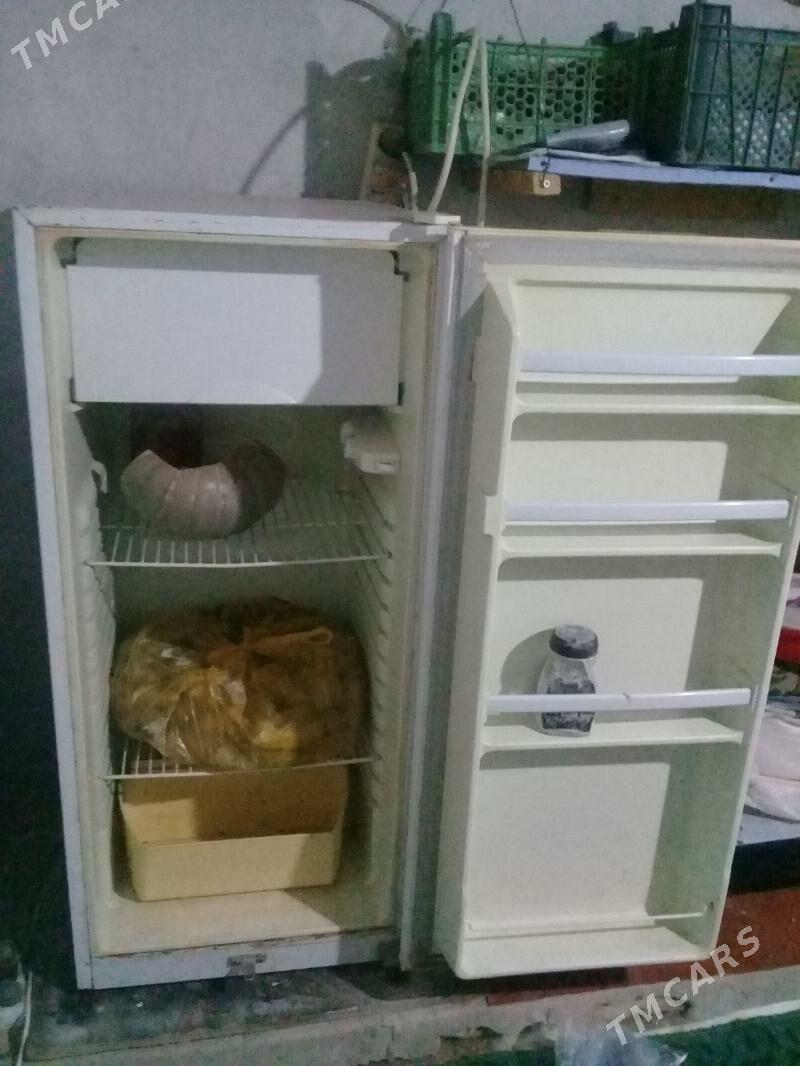 Haladilnik - Gurbansoltan Eje - img 2