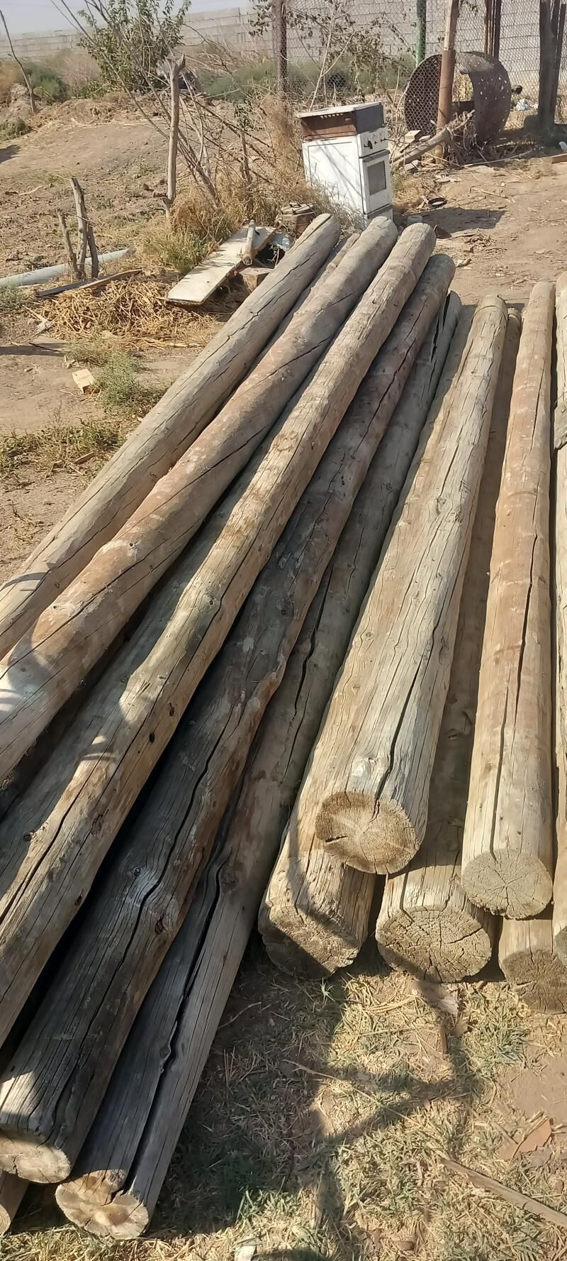 POLLYK AGAÇ DEMIR ALYAS - Hitrowka - img 3