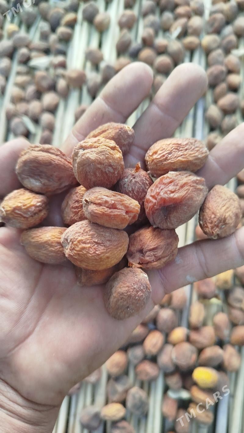 Miyweli baglar - Sakar - img 4