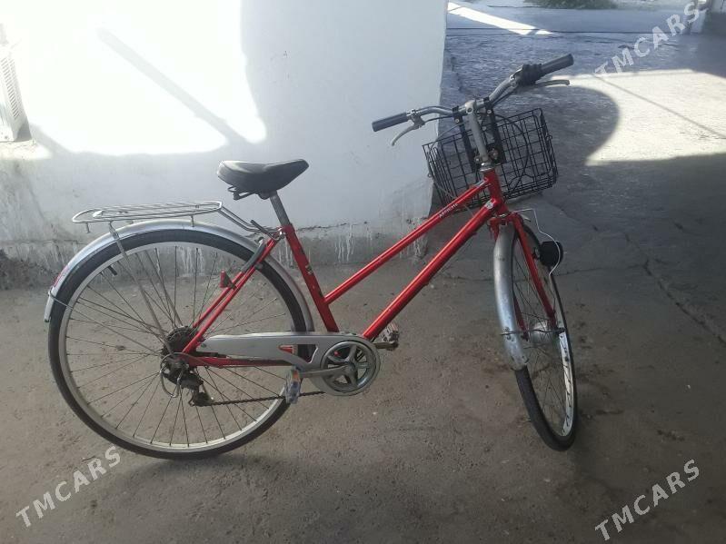 tigir - Гёкдепе - img 2