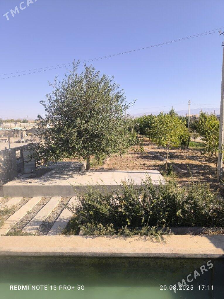 ucastok 24 sotok - Кака - img 5