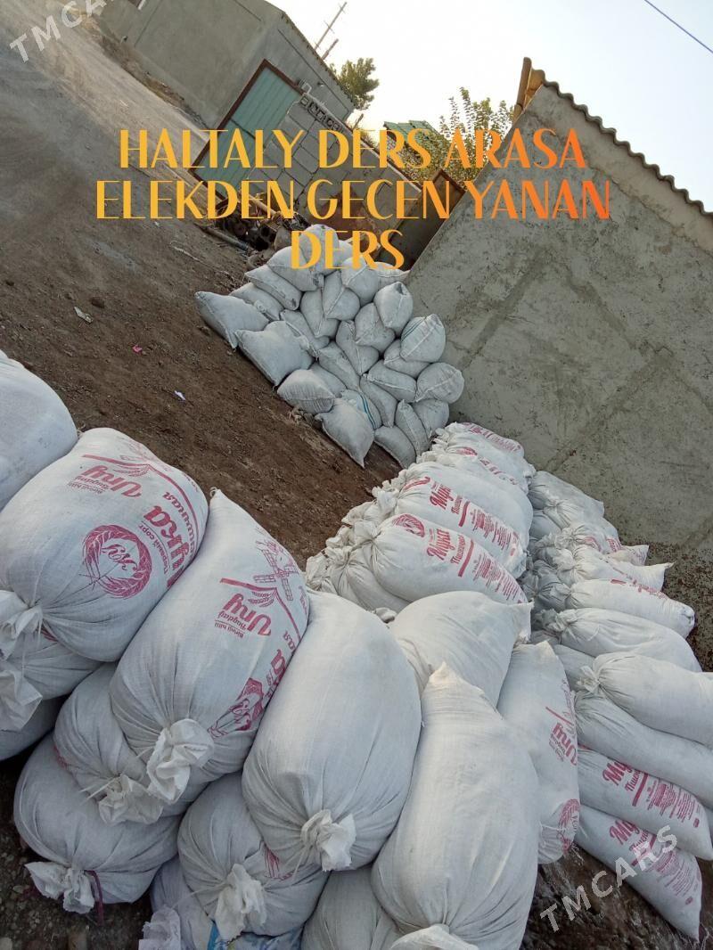 sement miti ders kerpiç grawyl - Arzuw - img 8