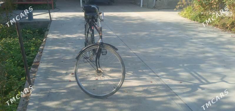 tigir - Кака - img 2