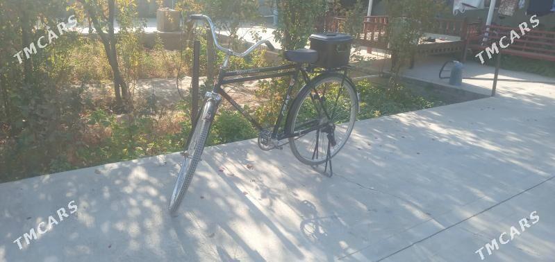 tigir - Кака - img 3