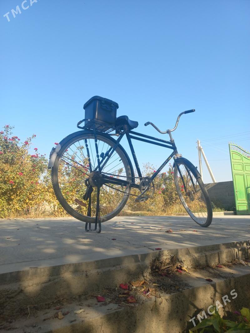 tıgır - Kaka - img 8