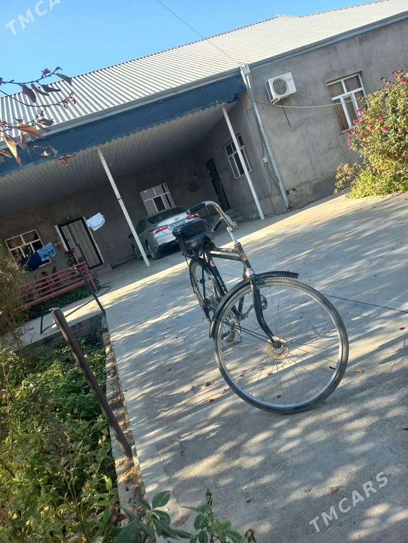 tıgır - Kaka - img 5