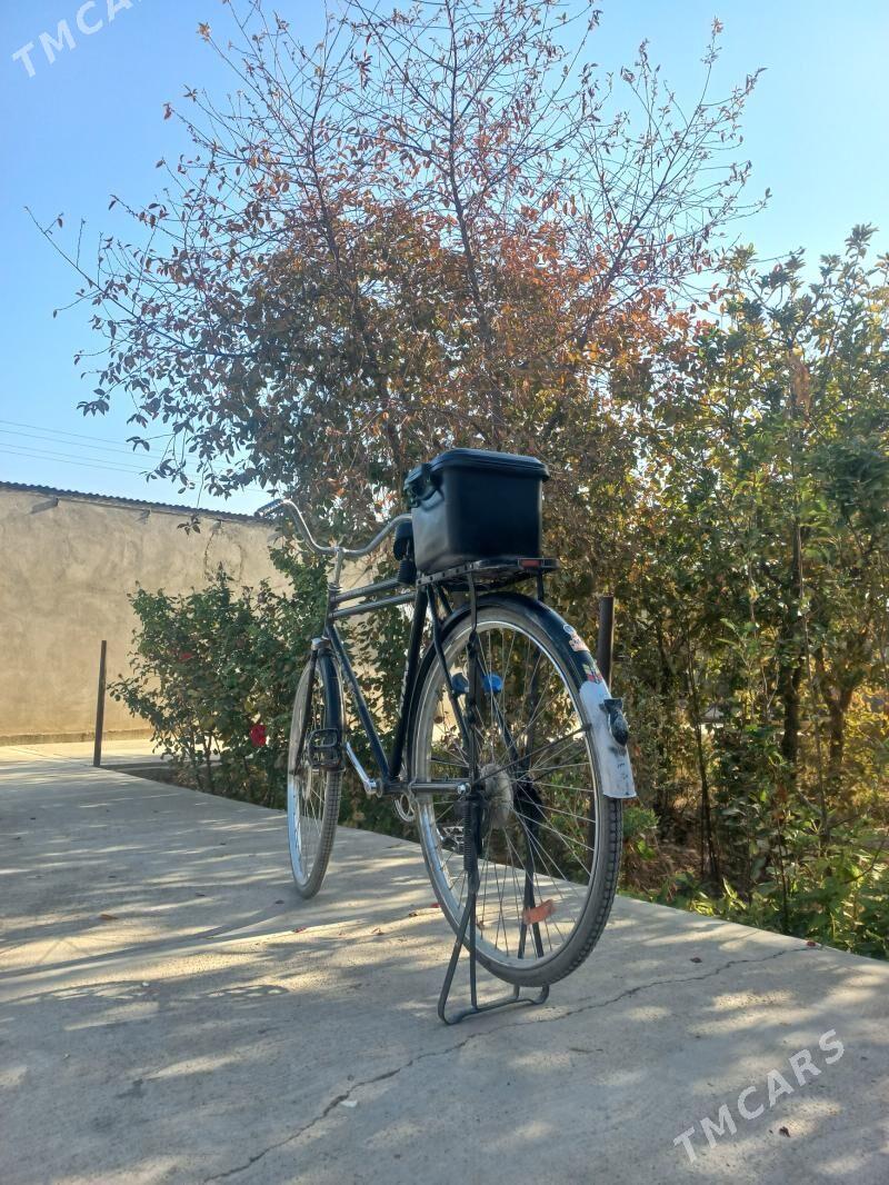 tıgır - Kaka - img 3