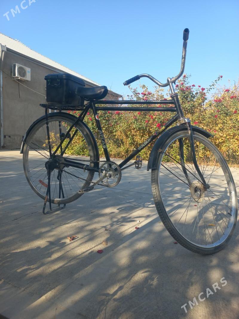 tıgır - Kaka - img 4