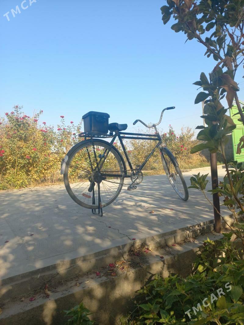 tıgır - Kaka - img 6