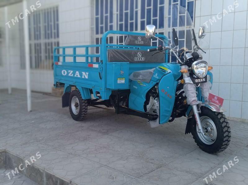 Ozan 200CC 2025 - 28 000 TMT - Tejen - img 2