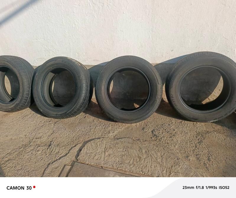 Пакришга Pakrişga 250 TMT - Ашхабад - img 4