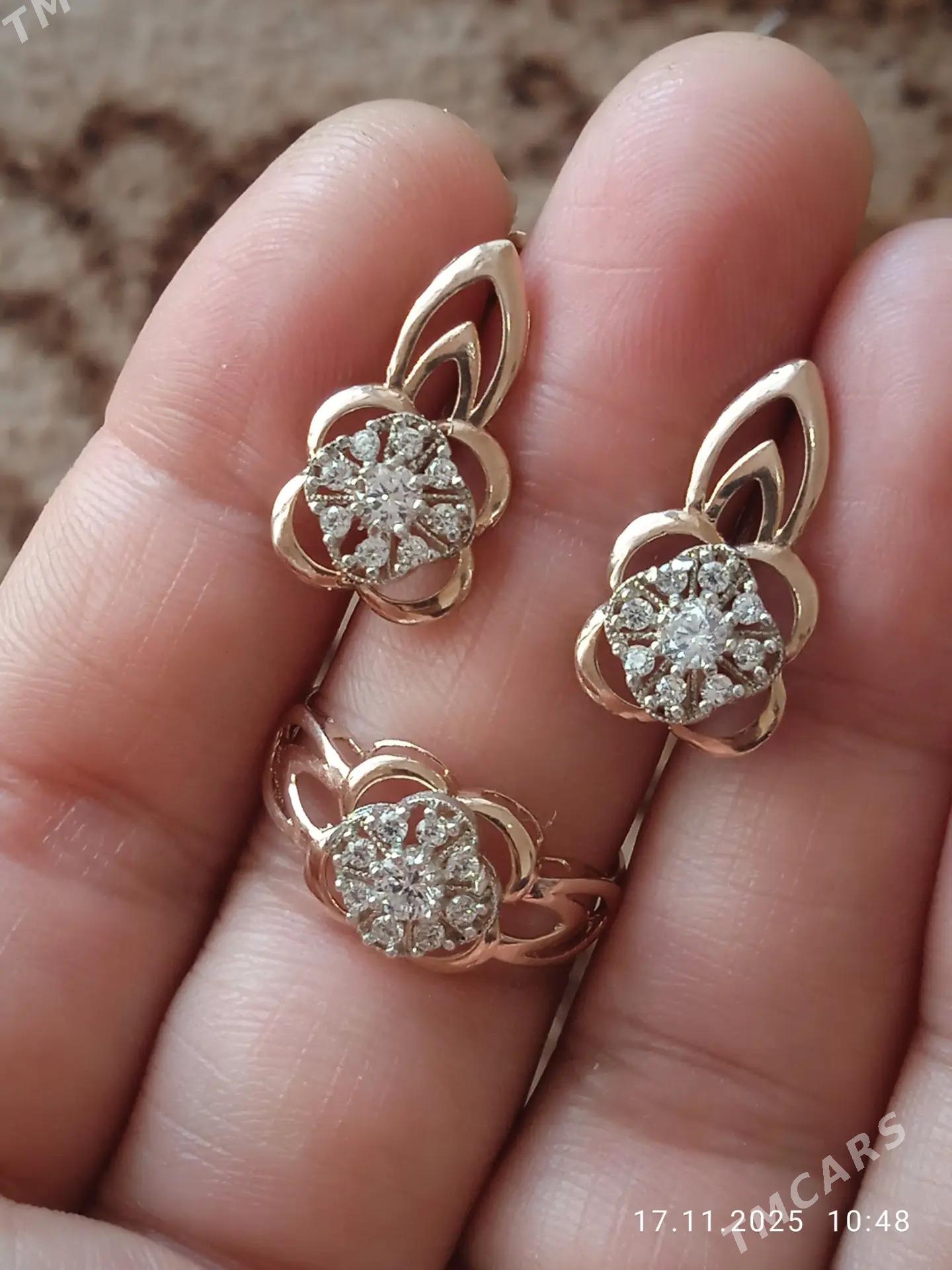 Gyzyl kampilekit - Ашхабад - img 2