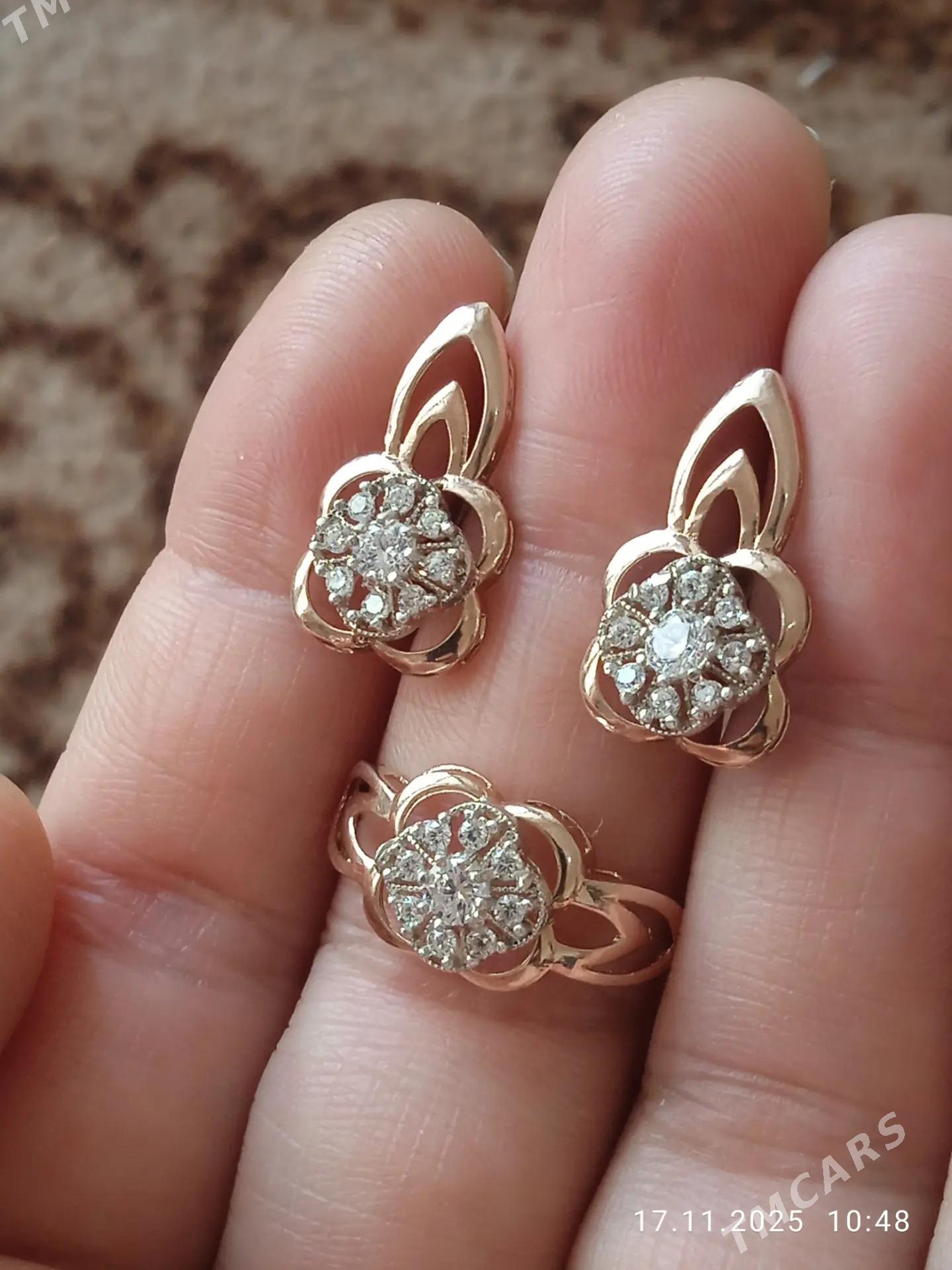 Gyzyl kampilekit - Ашхабад - img 5