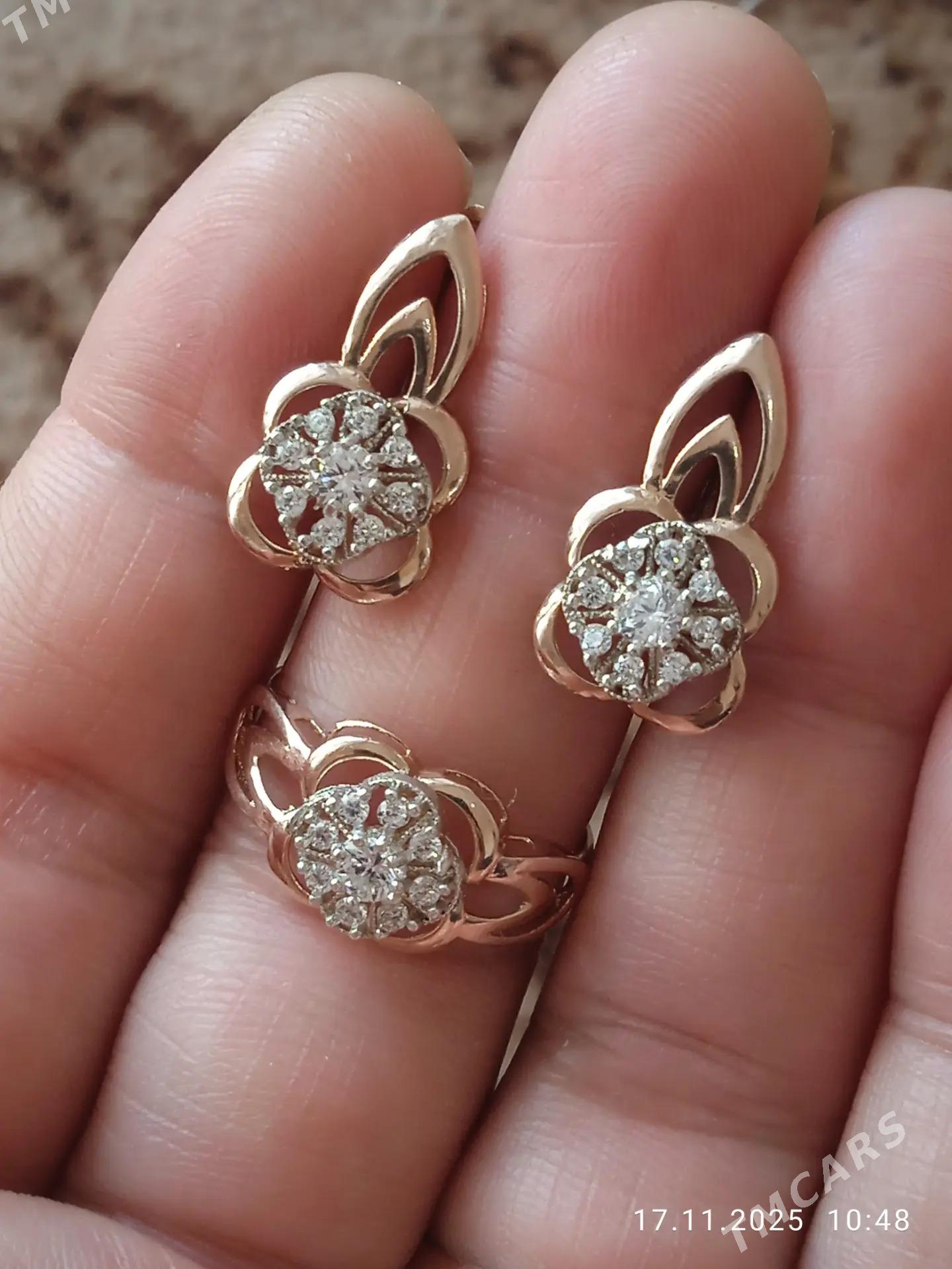 Gyzyl kampilekit - Ашхабад - img 1