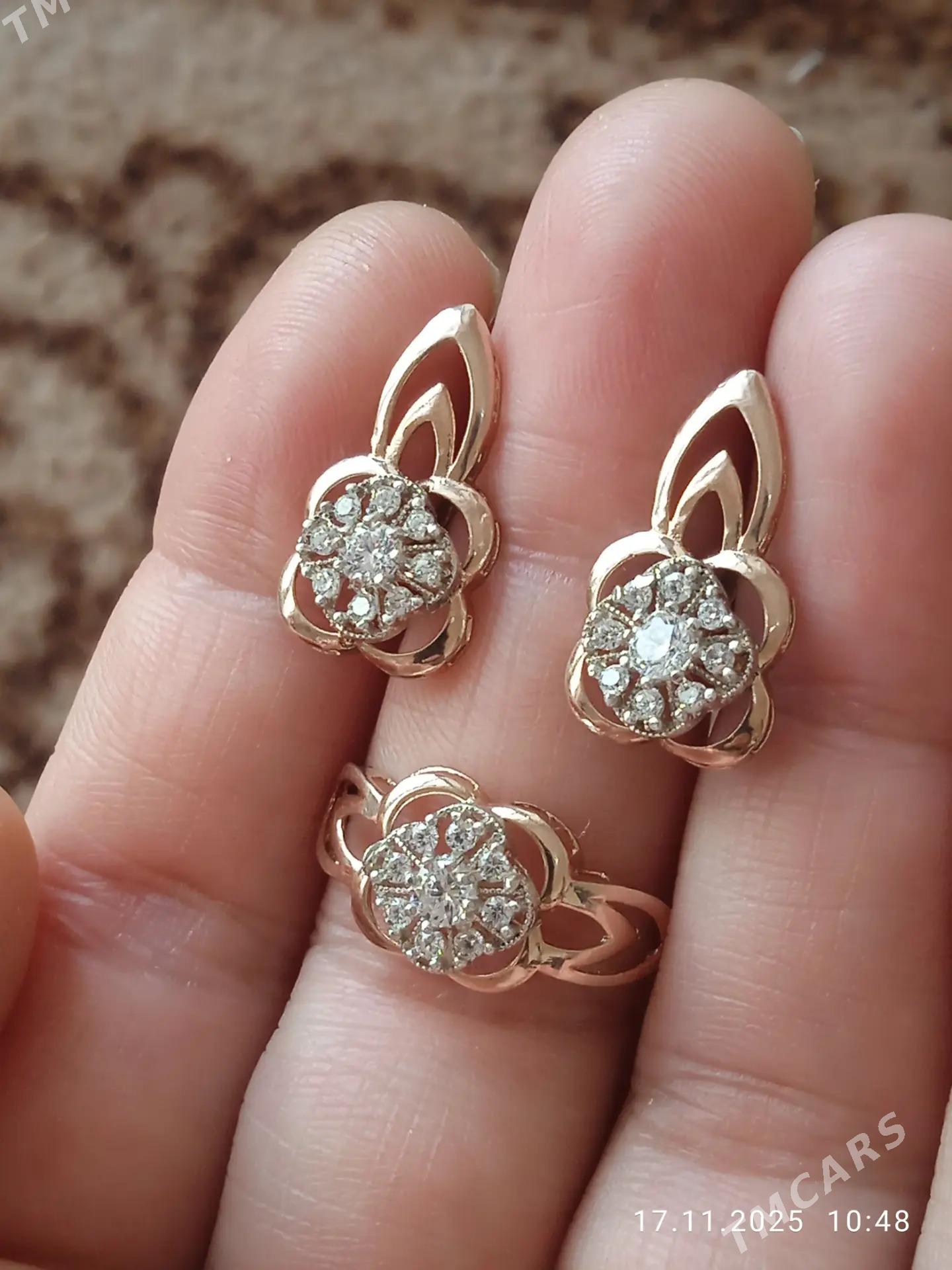 Gyzyl kampilekit - Ашхабад - img 4