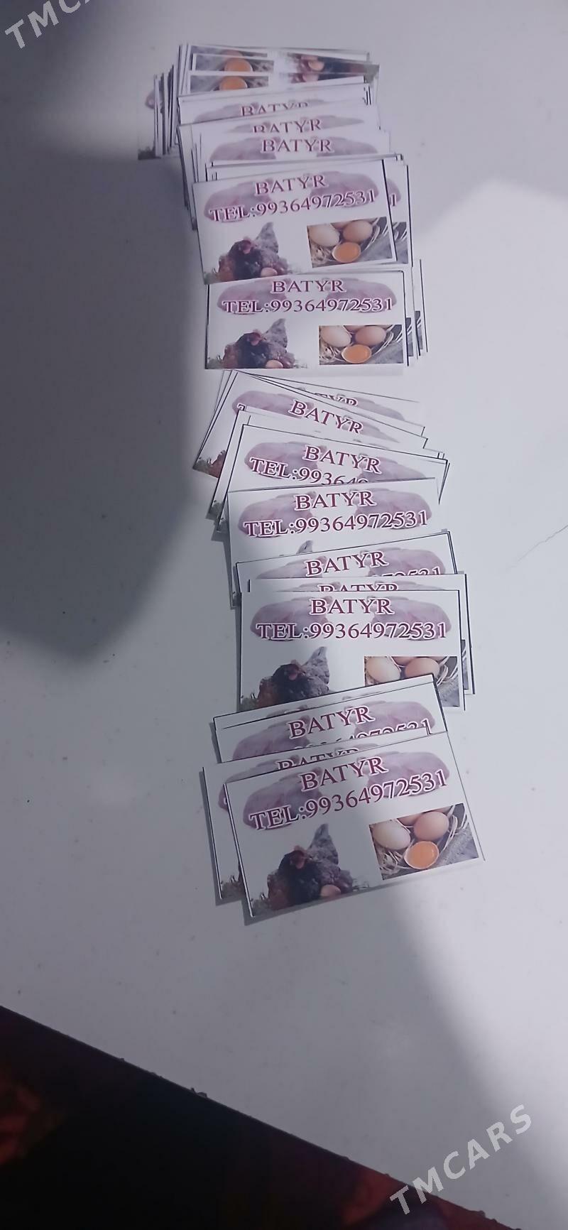 Satlyk induk ainduk - Şabat etr. - img 10