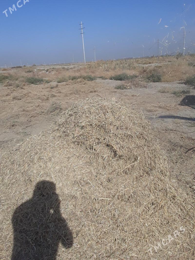 сатльк от catlyk ot - Багир - img 3