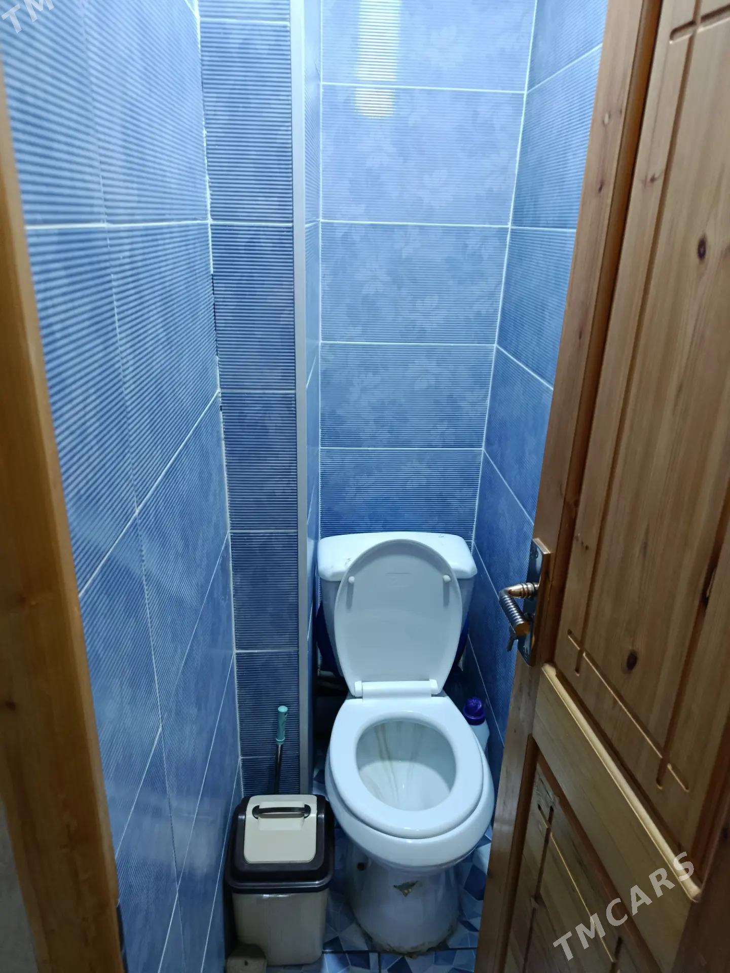 Satlyk jay - Мары - img 8