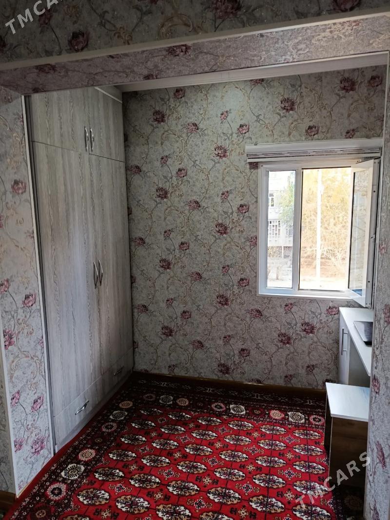 Satlyk jay - Мары - img 3