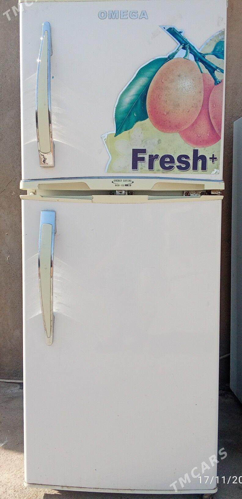 Haladilnik - Tejen - img 1