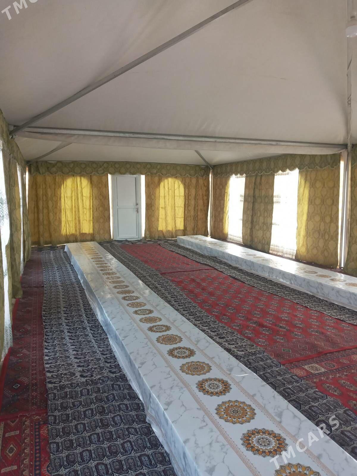 palata - Ýaşlyk - img 3