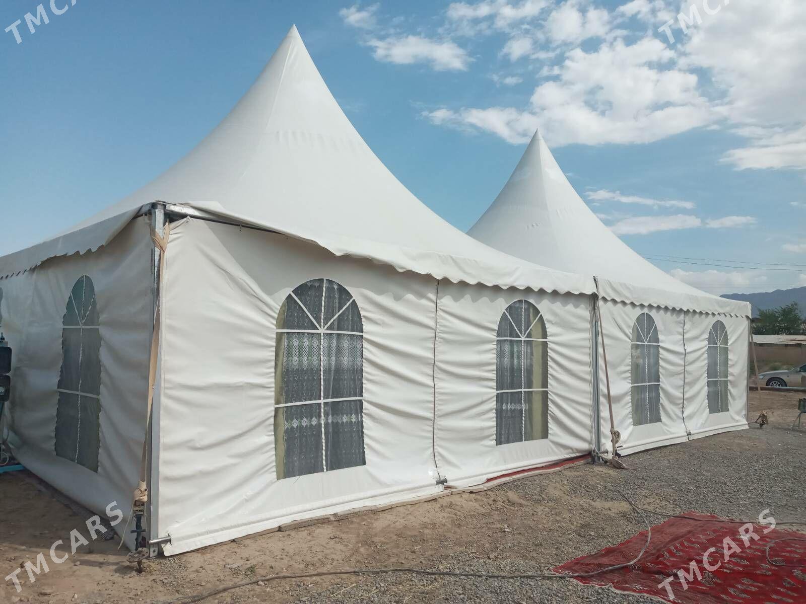 palata - Ýaşlyk - img 2