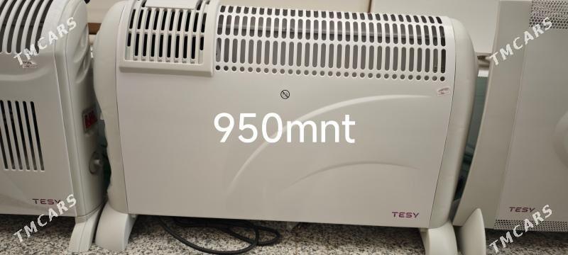 Tenli Pecler Amatly - Aşgabat - img 8