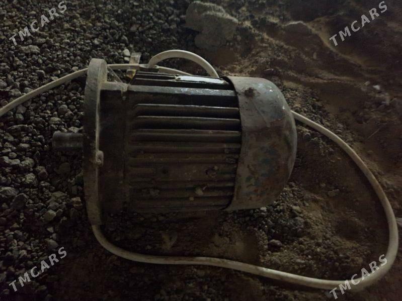 dwigatel filyansyvyý - Büzmeýin - img 3