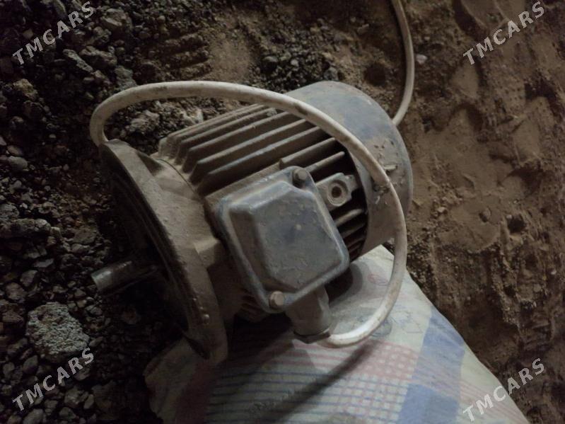 dwigatel filyansyvyý - Büzmeýin - img 2