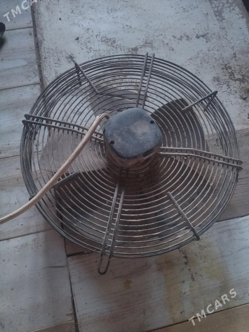 wintilaytr - Görogly (Tagta) - img 2