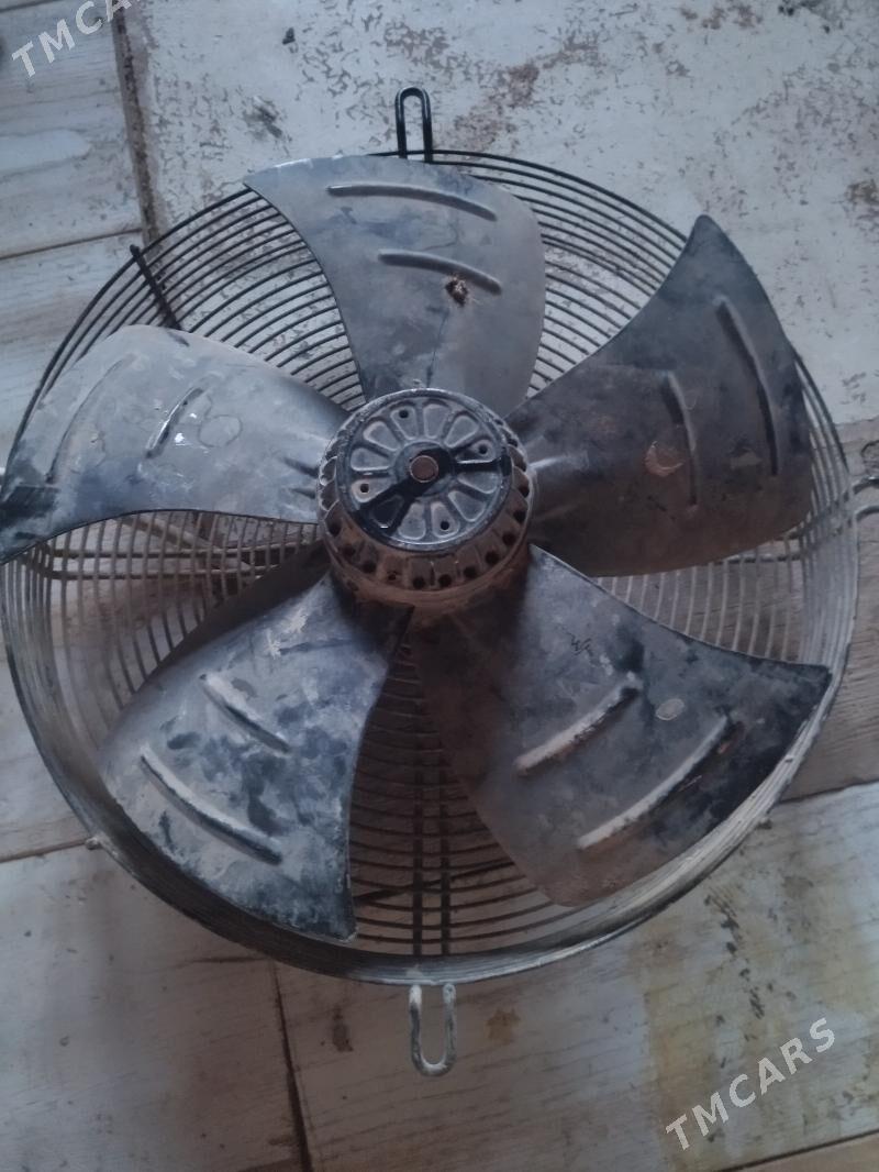 wintilaytr - Görogly (Tagta) - img 1