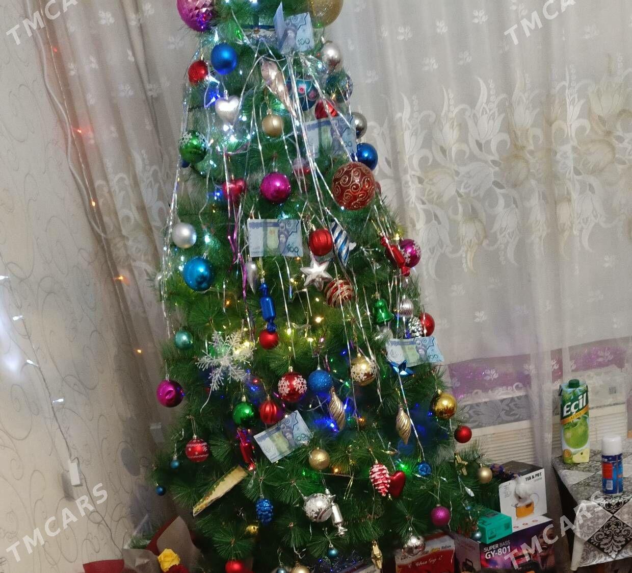  Продается ёлка новогодняя - Ашхабад - img 2