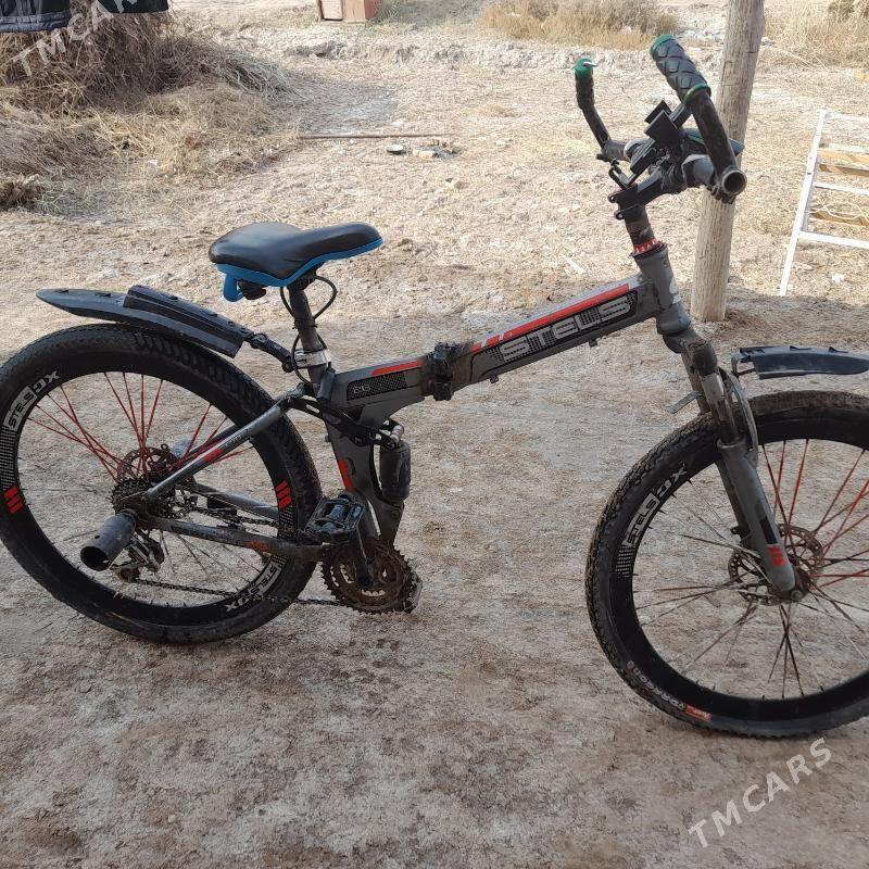 welik - Akdepe - img 4