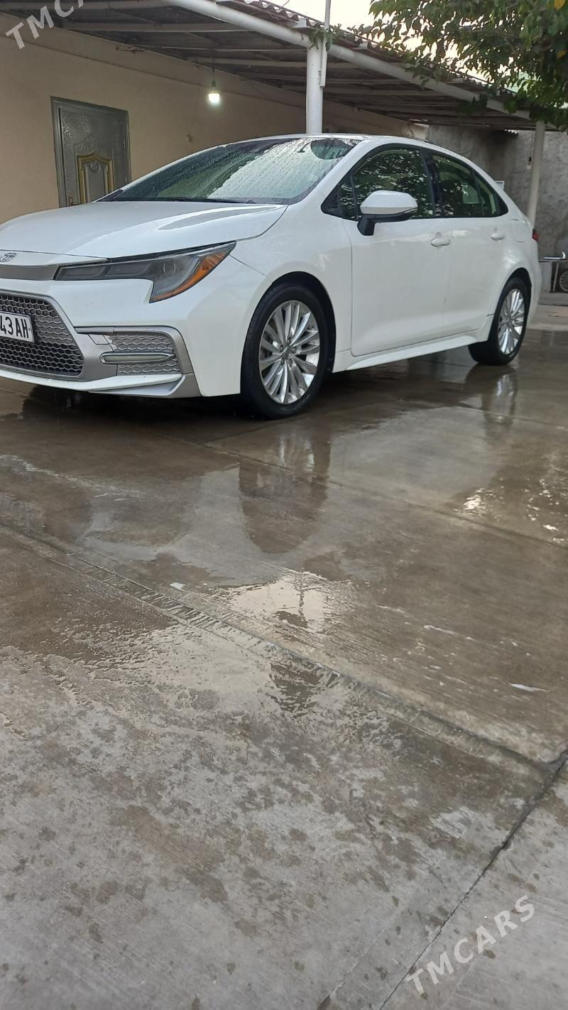 Toyota Corolla 2020 - 225 000 TMT - Бузмеин - img 4