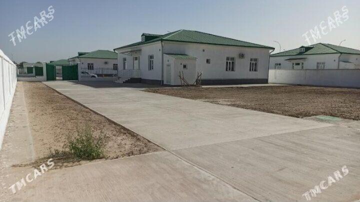 Satlyk Nurly Zaman J - Gökdepe - img 3