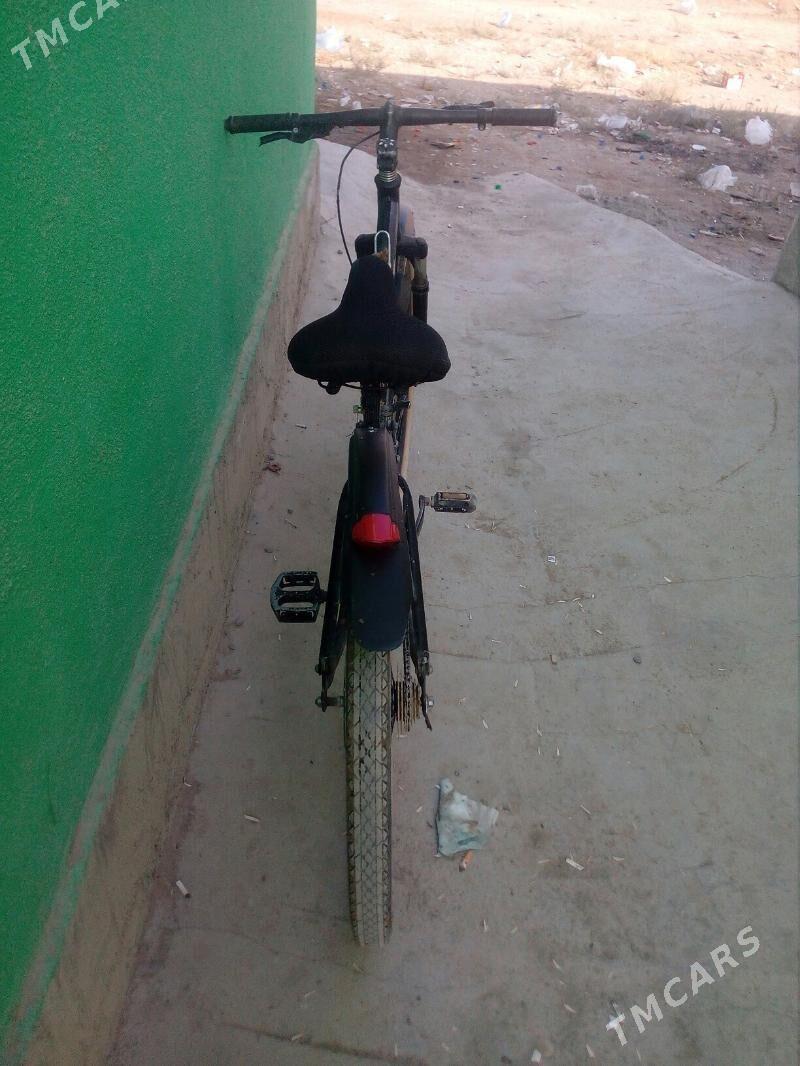 tigir - Bäherden - img 3